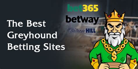best online greyhounds betting site
